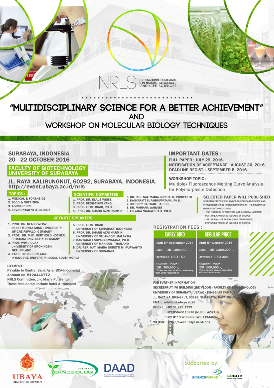 POrtfolio Image Here