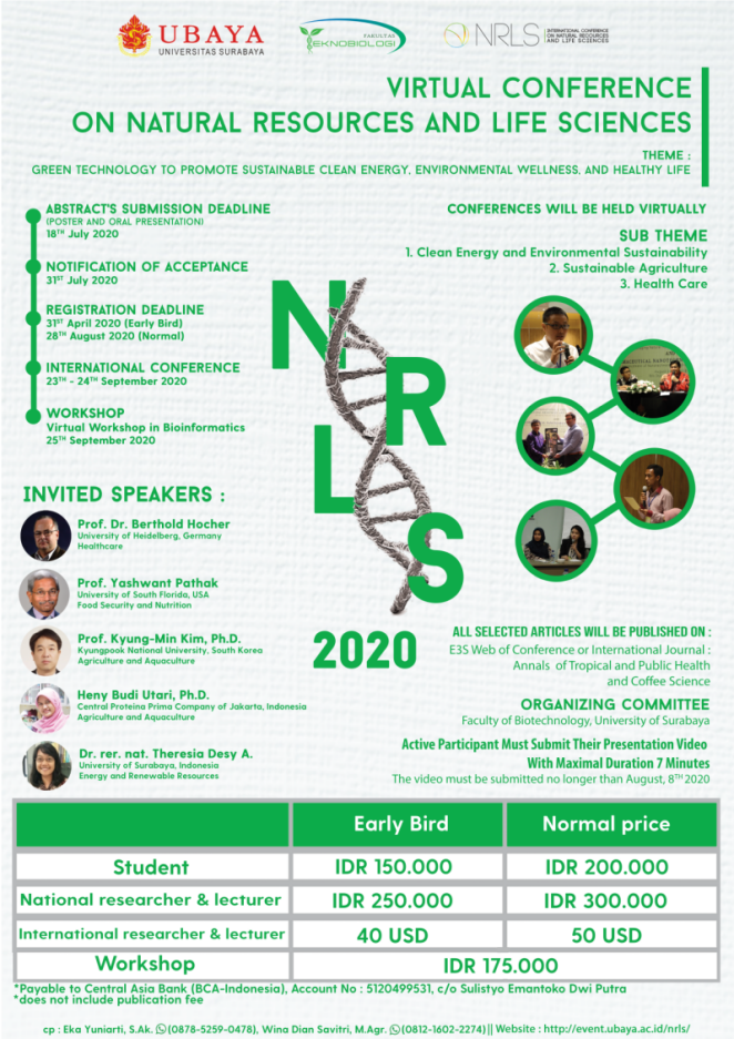 POrtfolio Image Here